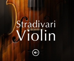 СᣡNative Instruments Stradivari Violin v1.0.0 KONTAKT