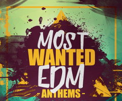 EDMزElevated EDM Most Wanted EDM Anthems WAV MiDi