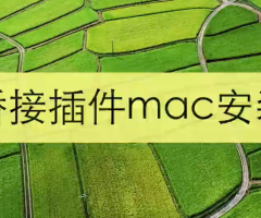 蓝猫桥接插件mac安装教程