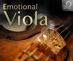 ٣Best Service Emotional Viola KONTAKT