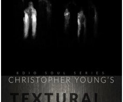 ϵ-ʸ8dio Soul Series Christopher Young: Textural Worlds KONTAKT