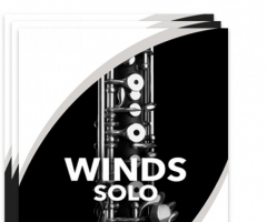 ľSonex Audio Woodwinds Solo KONTAKT