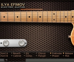 Ilya Efimov TC Electric Guitar缪ɫ